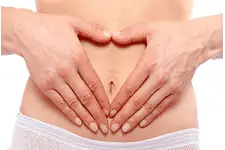 Genital Türleri ve Özellikleri